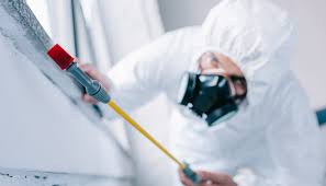 Pest Control for Warehouses in Laguna Woods, CA